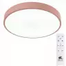 Потолочный светильник Arte Lamp A2661PL-1PK