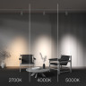 Трековый трехфазный светодиодный светильник Maytoni Trinity Focus Led TR197-3-30WCCT-M-W