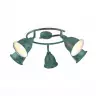 Спот Arte Lamp Campana A9557PL-5BG