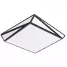Потолочный светодиодный светильник Arte Lamp Multi-Piazza A1930PL-1BK