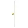 Настенный светильник Maytoni Elegant C084WL-L18BS2.7K