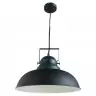 Подвесной светильник Arte Lamp Martin A5213SP-1BG