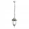 Уличный подвесной светильник Arte Lamp Pegasus A3151SO-1WG
