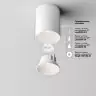 Светильник потолочный светодиодный Maytoni Alfa LED C064CL-8W4K-RD-WB