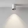 Светильник потолочный светодиодный Maytoni Alfa LED C064CL-8W4K-RD-WB