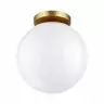 Потолочный светильник Odeon Light Bosco 4248/1C
