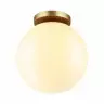 Потолочный светильник Odeon Light Bosco 4248/1C