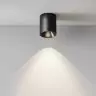 Светильник потолочный светодиодный Maytoni Alfa LED C064CL-12W4K-RD-B