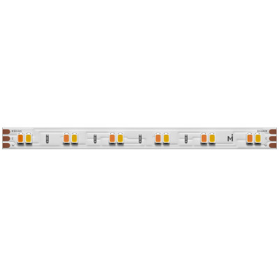 Светодиодная лента Maytoni 12Вт/м 6000К 24V IP20 Ultra 201123