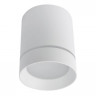 Потолочный светодиодный светильник Arte Lamp A1909PL-1WH