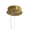 Подвесной светодиодный светильник Freya Plum FR6137PL-L21BT1