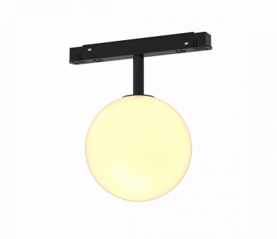 Трековый светильник Maytoni LunaTR038-2-5W3K