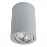 Потолочный светильник Arte Lamp A1560PL-1GY