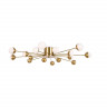 Люстра потолочная Freya Celebrity FR5242CL-16BS