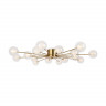 Люстра потолочная Freya Celebrity FR5242CL-16BS1