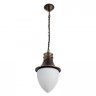 Уличный подвесной светильник Arte Lamp Vienna A1317SO-1BN