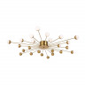 Люстра потолочная Freya Celebrity FR5242CL-24BS