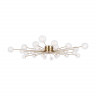 Люстра потолочная Freya Celebrity FR5242CL-24BS1