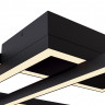 Люстра потолочная светодиодная Maytoni Line MOD016CL-L80BK