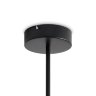 Люстра на штанге светодиодная Freya Arch FR6178CL-L30B