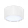 Потолочный светодиодный светильник Lightstar Zolla 211916