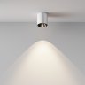 Светильник потолочный светодиодный Maytoni Alfa LED C064CL-5W4K-RD-WB