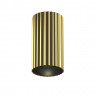 Светильник потолочный Maytoni Calipso C106CL-01-GU10-BS