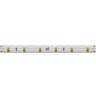 Светодиодная лента 4,8Вт/м 24V 6000К IP20 Maytoni Ultra Led Strip 201011