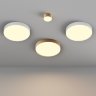 Светильник потолочный светодиодный Maytoni Zon C032CL-45W2.7K-RD-W