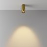 Светильник потолочный Maytoni FOCUS LED C056CL-L12W2.7K-W-BS