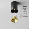 Светильник потолочный светодиодный Maytoni Alfa LED C064CL-8W3K-RD-B
