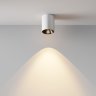 Светильник потолочный светодиодный Maytoni Alfa LED C064CL-8W3K-RD-WB