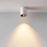 Светильник потолочный светодиодный Maytoni Alfa LED C064CL-8W2.7K-RD-WB