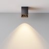 Светильник потолочный светодиодный Maytoni Alfa LED C065CL-8W3K-SQ-B