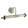Подсветка для картин Arte Lamp Picture Lights Lux A5019AP-2WG