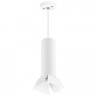 Подвесной светильник Lightstar Rullo (214496+590056+202436) RP496436