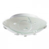 Потолочный светильник Arte Lamp A4040PL-2CC