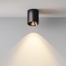 Светильник потолочный светодиодный Maytoni Alfa LED C064CL-12W3K-RD-B