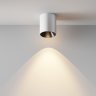Светильник потолочный светодиодный Maytoni Alfa LED C064CL-12W3K-RD-WB