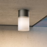 Уличный потолочный светильник Maytoni Willis O418CL-01B