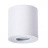 Потолочный светильник Arte Lamp Galopin A1460PL-1WH