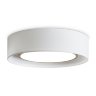 Потолочный светильник Freya Cozy FR6170CL-L52BS